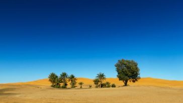 Kesedihan Rasulullah Saat Khadijah Wafat